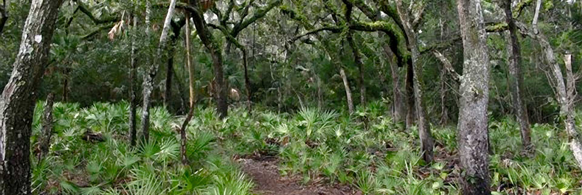 Guana Tolomato Matanzas National Estuarine Research Reserve